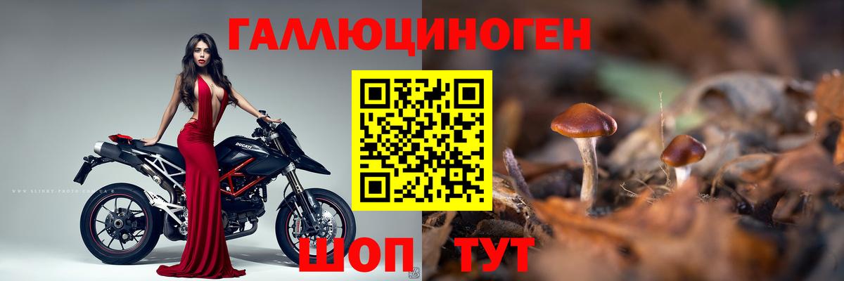 Псилоцибиновые грибы мухоморы Осинники