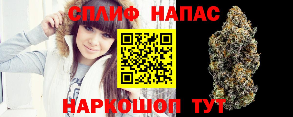 Осинники  Марихуана планчик  Бошки марихуана конопля  Марихуана Ganja  Вход с VPN 